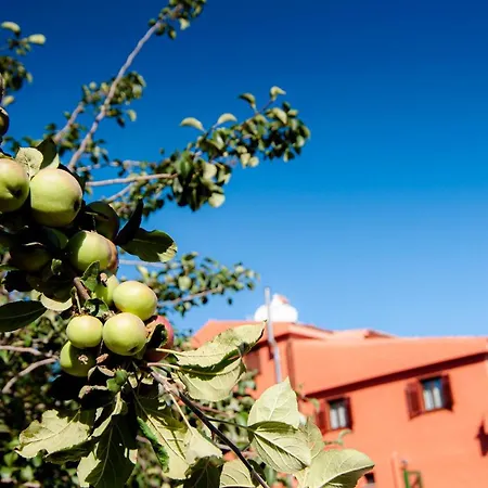 Casa di campagna El Pastel Tacoronte